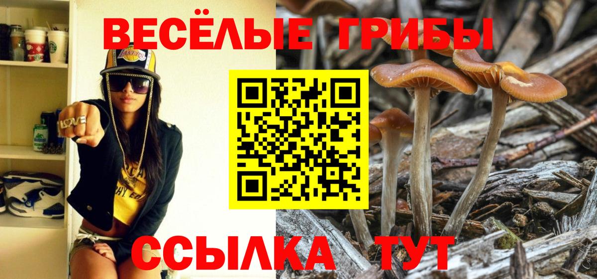 где можно купить наркотик  Вход с VPN  Калуга  Галлюциногенные грибы Psilocybe 